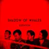 Shadow of Whales - Attention - Single